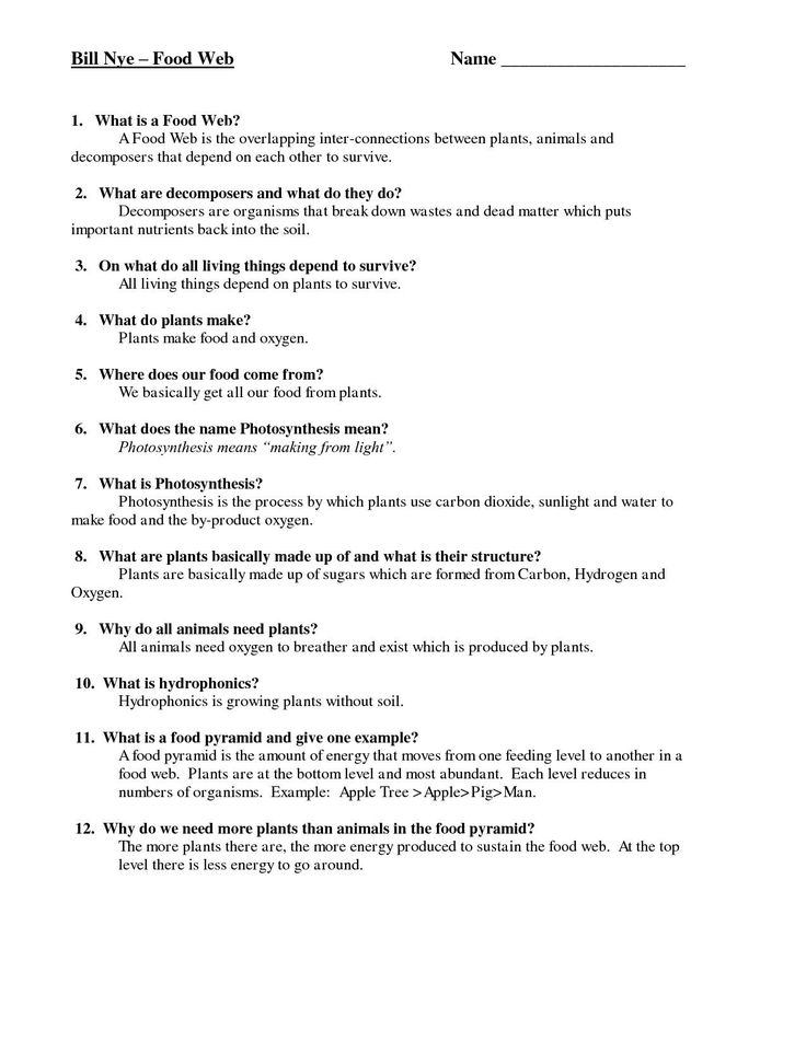 30 Bill Nye Science Guy Worksheets