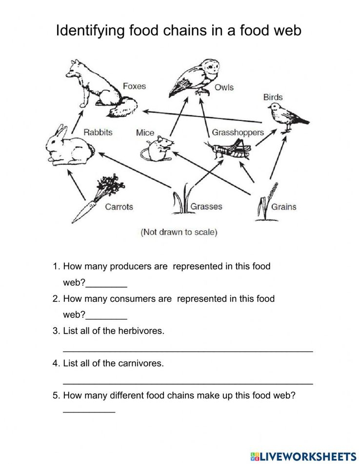 30 Bill Nye Science Guy Worksheets