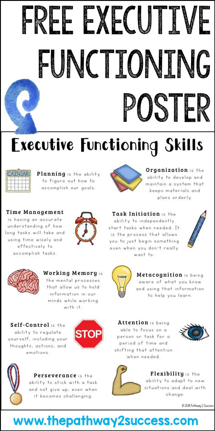 30 Executive Functioning Worksheets For Adults Pdf