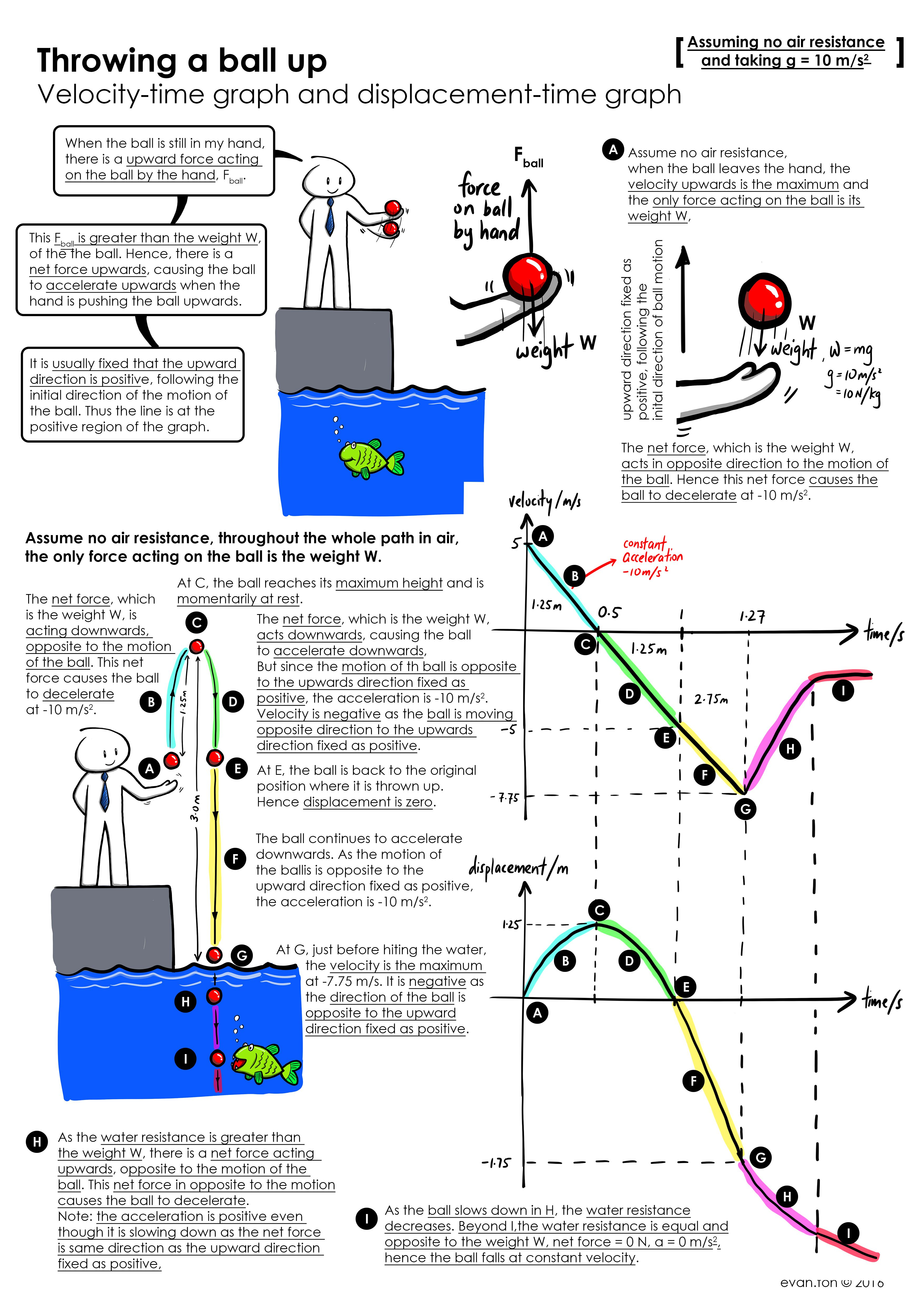 30 Free Fall Physics Worksheet