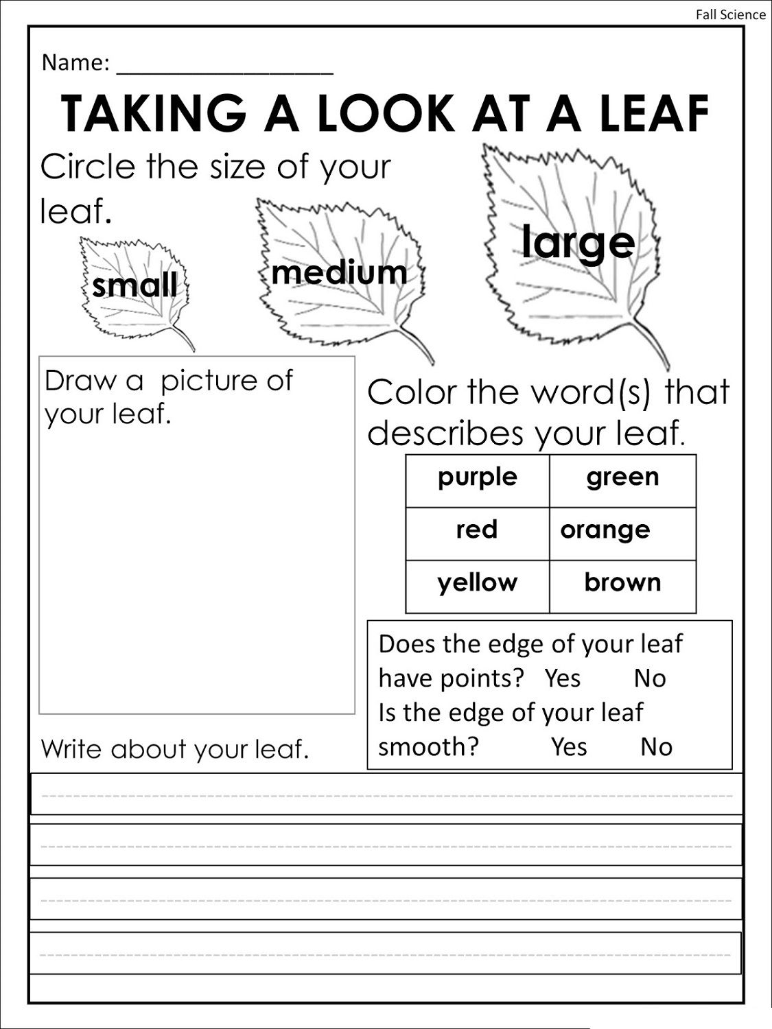 30 Free Fall Physics Worksheet