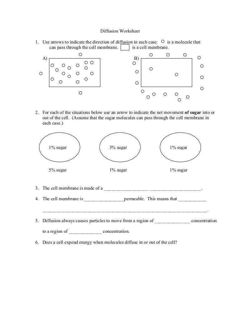 30 Osmosis And Diffusion Worksheet Answers Pdf