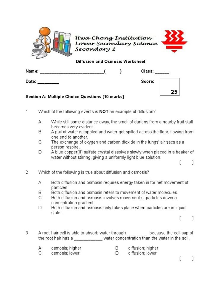 30 Osmosis And Diffusion Worksheet Answers Pdf