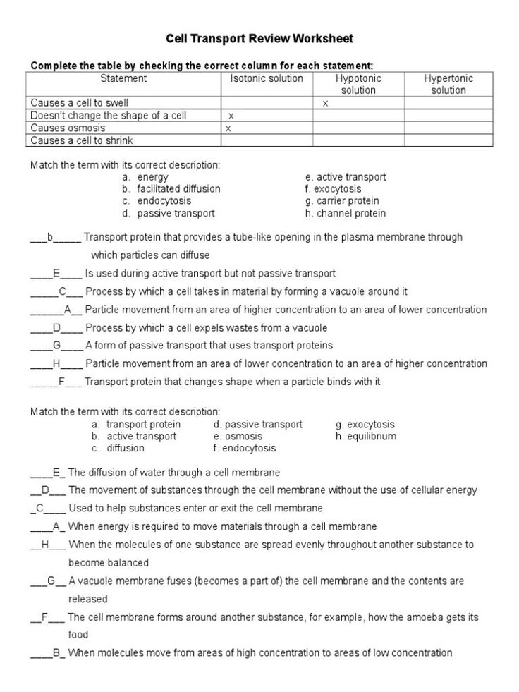 30 Osmosis And Diffusion Worksheet Answers Pdf